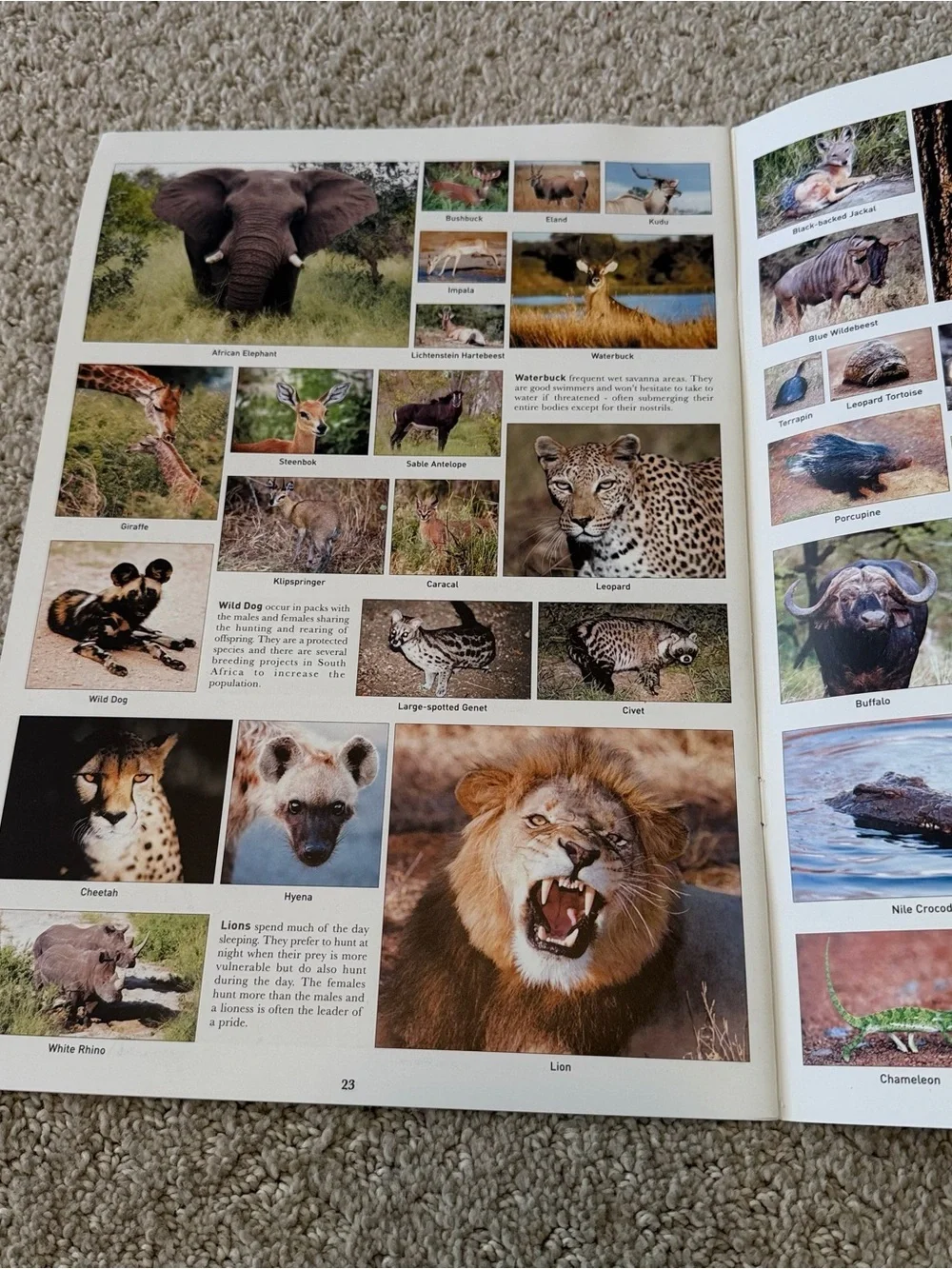 Kruger National Park Guide & Map Travel Animal Guide Book 2007 /2009 Vintage 2x